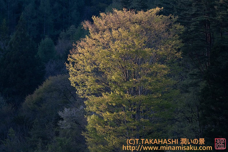 ../Images/7R250429 (36).jpg